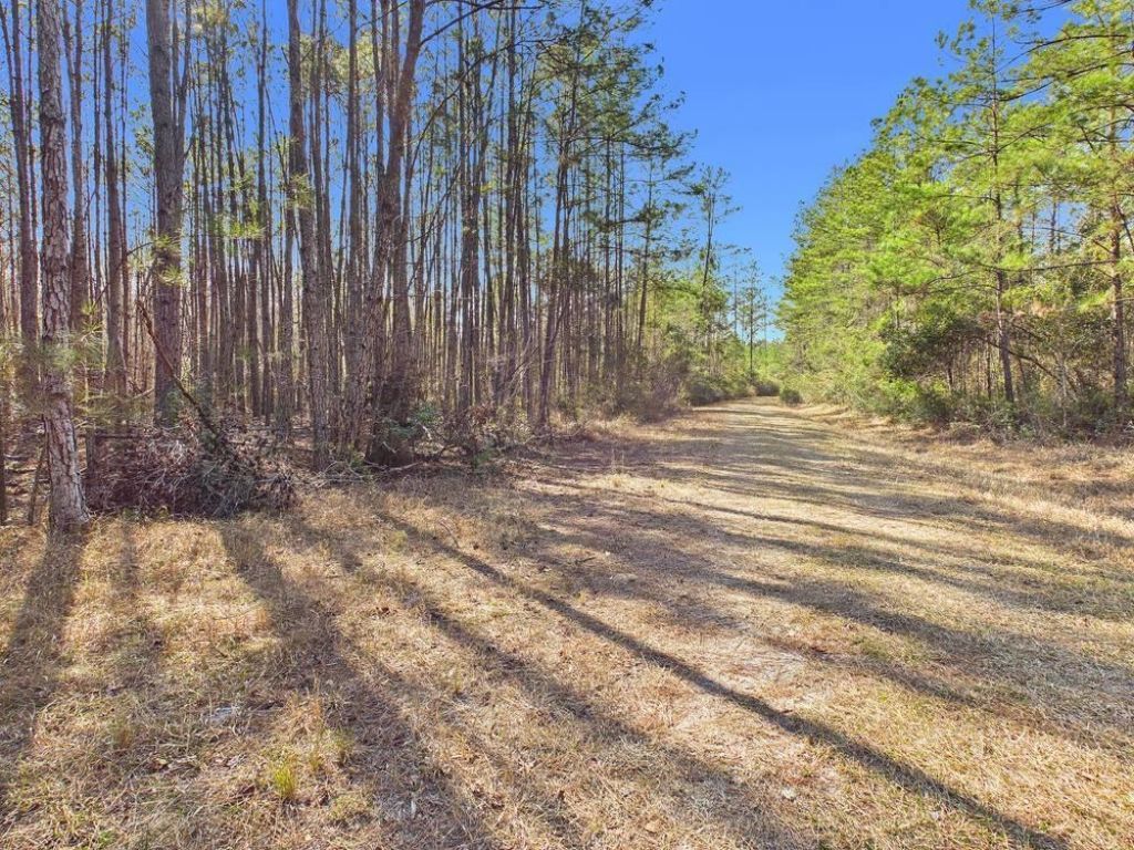 Lot 81 SW Oregon Trail , Greenville, FL 32331 Photo