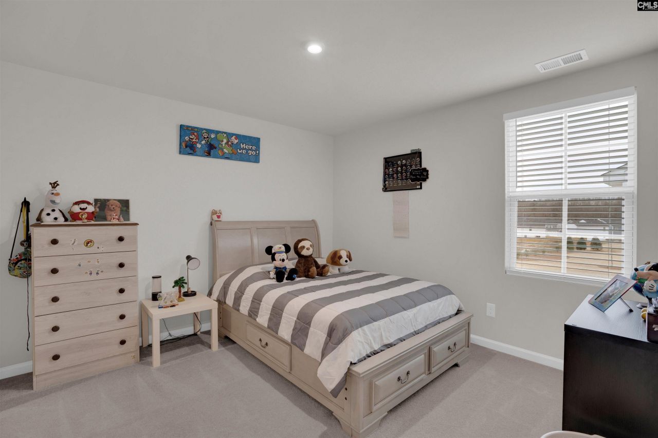 3025 Blue Brook Lane Photo 23