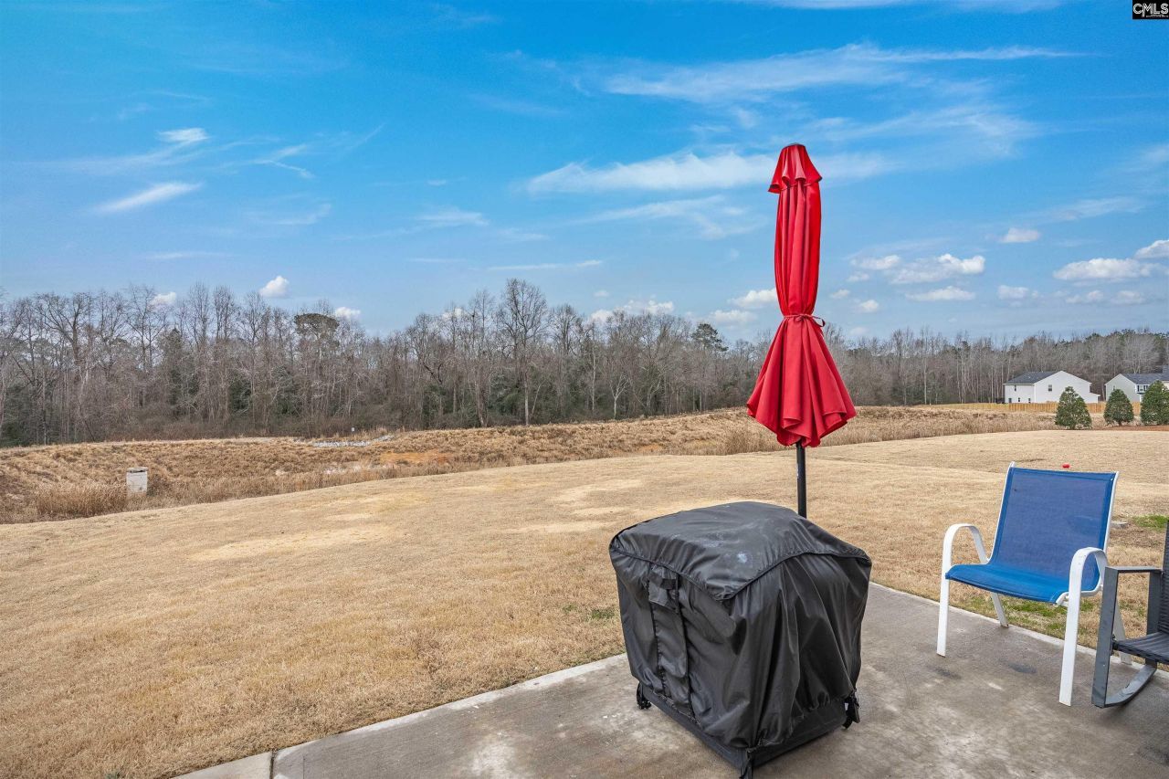 3025 Blue Brook Lane Photo 33