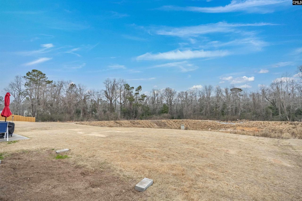 3025 Blue Brook Lane Photo 34