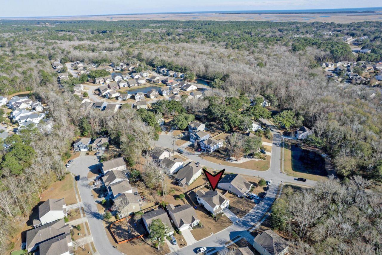 3849 Hanoverian Drive Photo 64