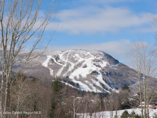 Lot 2 Ruth Court, Hunter, NY 12442