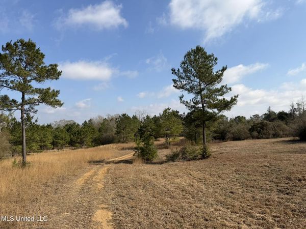 Johnson Road, Sandy Hook, MS 39478