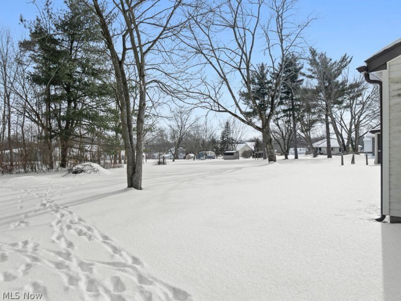 888 Fairfield School Road, Columbiana, OH 44408 Photo 36