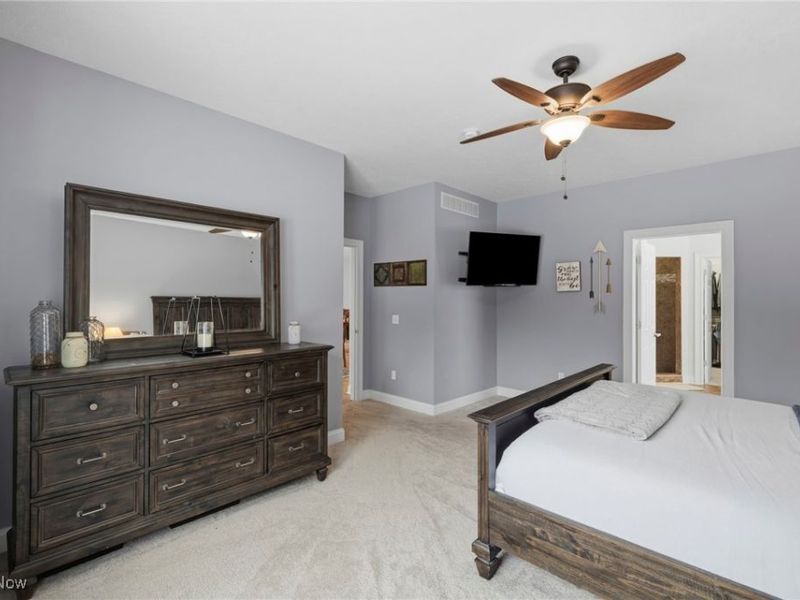 8525 Broxton Court, Westfield Center, OH 44251 Photo 22