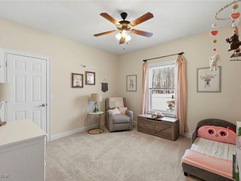 8525 Broxton Court, Westfield Center, OH 44251 Photo 25