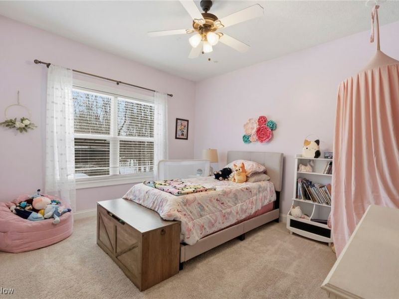 8525 Broxton Court, Westfield Center, OH 44251 Photo 26