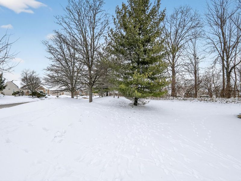 2695 Saint Charles Circle, Union, KY 41091 Photo 22