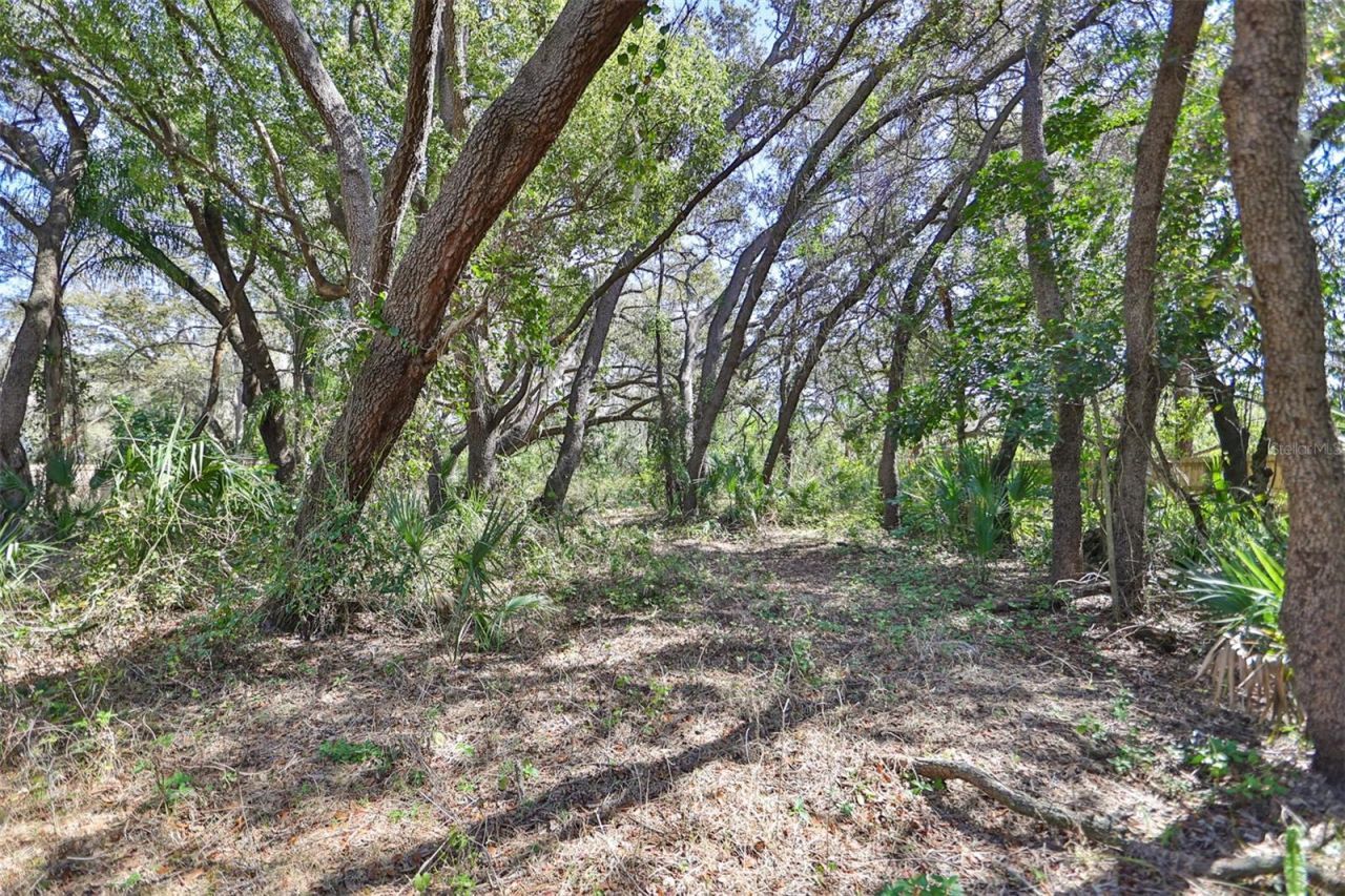 1971 Wolford Road, Clearwater, FL 33760 Photo