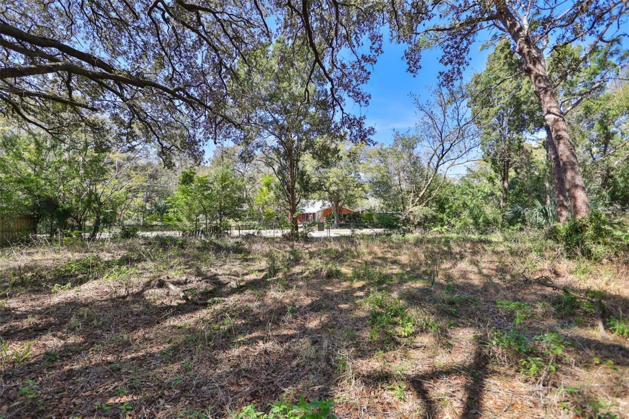 1971 Wolford Road, Clearwater, FL 33760 Photo