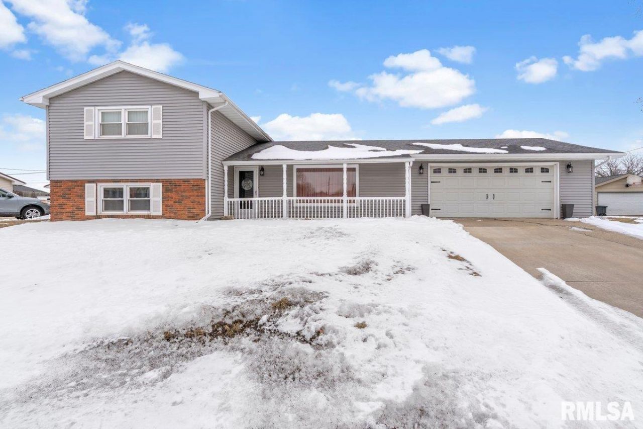 50 Birch Lane, Williamsville, IL 62639 Main Photo