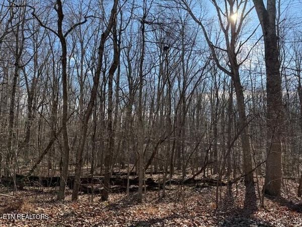 113 Overlook Cove, Crossville, TN 38558