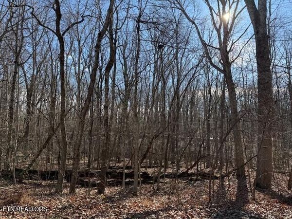 113 Overlook Cove, Crossville, TN 38558