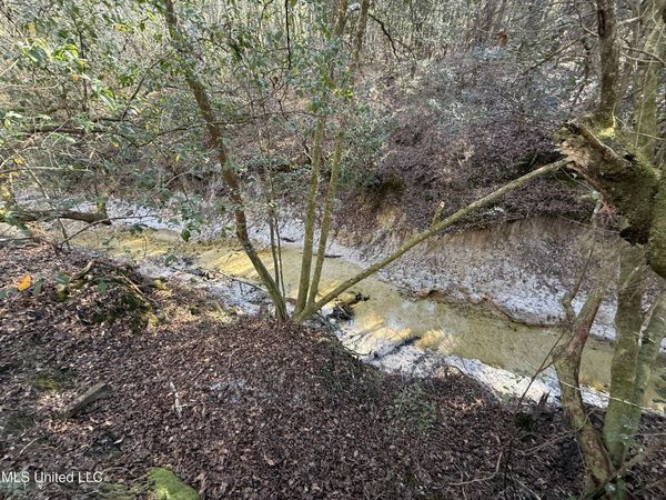 38 Ac +/- Indian Hill Road, Richton, MS 39476