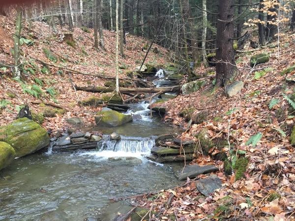 90 Reading Farms Road, Reading, VT 05062