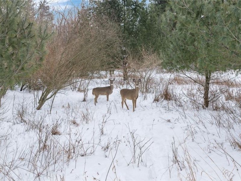 1117 County Road 2075, Ashland, OH 44805 Photo 11