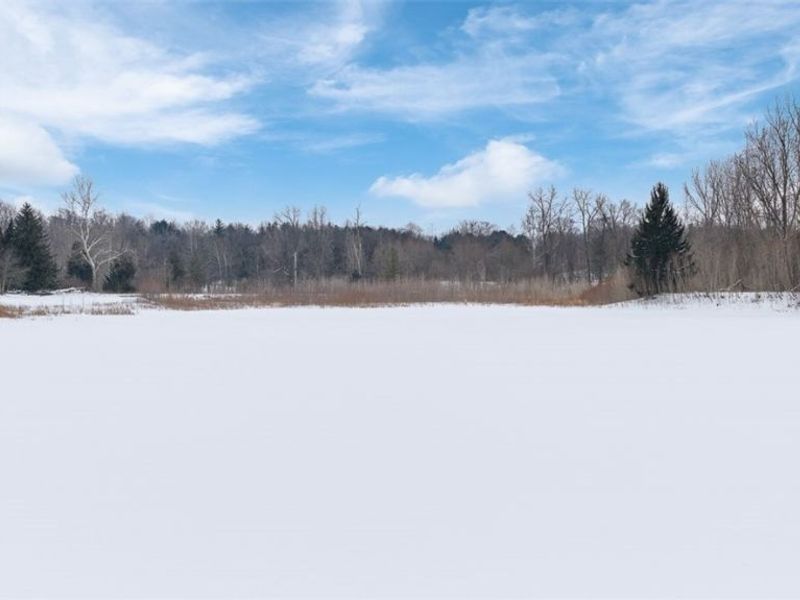 1117 County Road 2075, Ashland, OH 44805 Photo 14