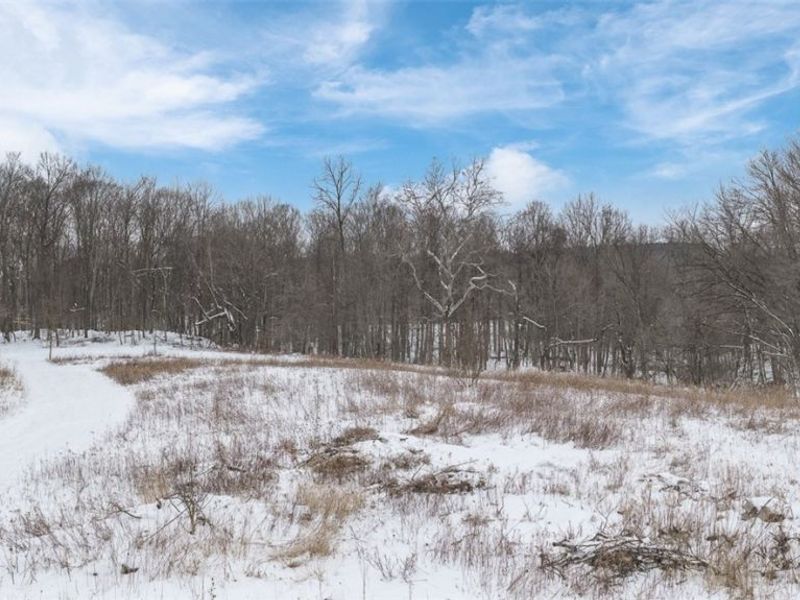 1117 County Road 2075, Ashland, OH 44805 Photo 30