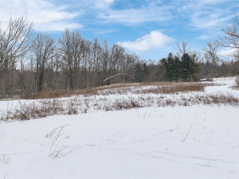 1117 County Road 2075, Ashland, OH 44805 Photo 31