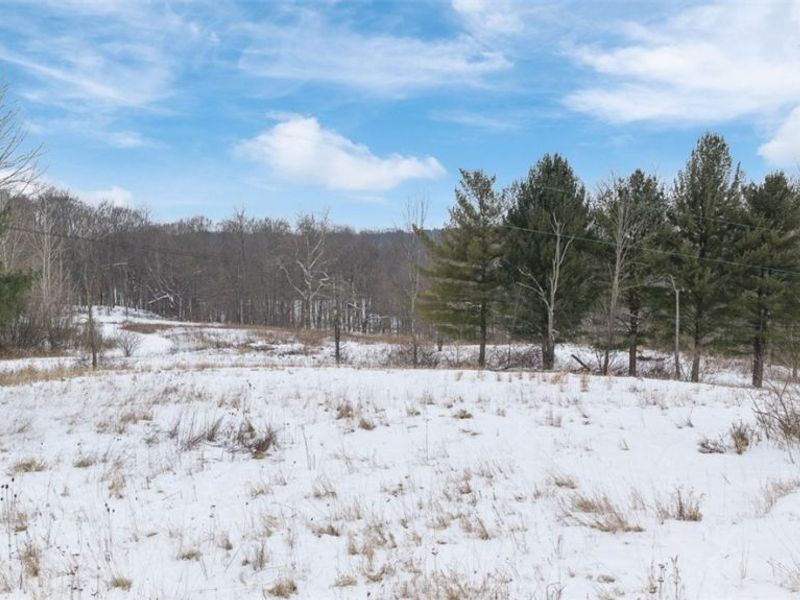 1117 County Road 2075, Ashland, OH 44805 Photo 34