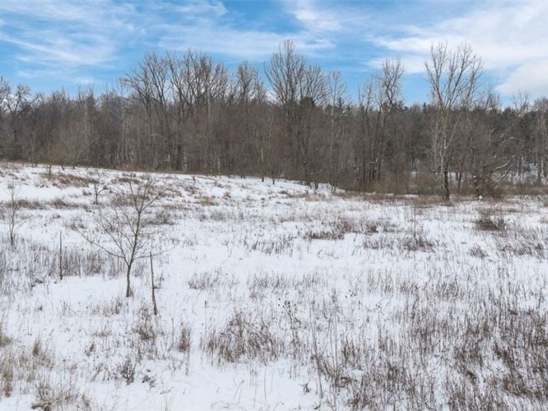 1117 County Road 2075, Ashland, OH 44805 Photo 35