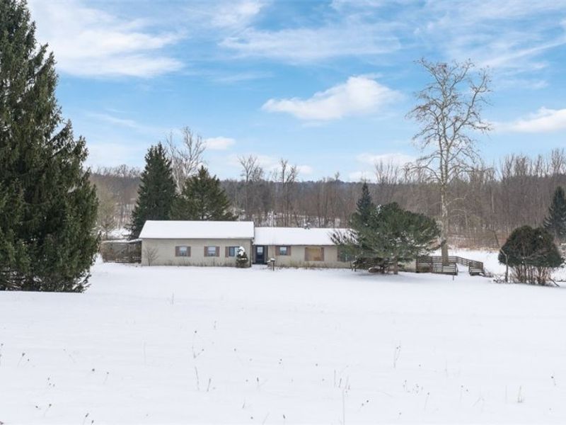 1117 County Road 2075, Ashland, OH 44805 Photo 4