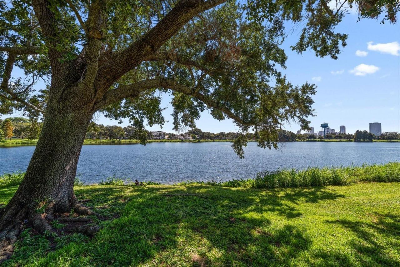 1120 24th Avenue N, Saint Petersburg, FL 33704 Photo