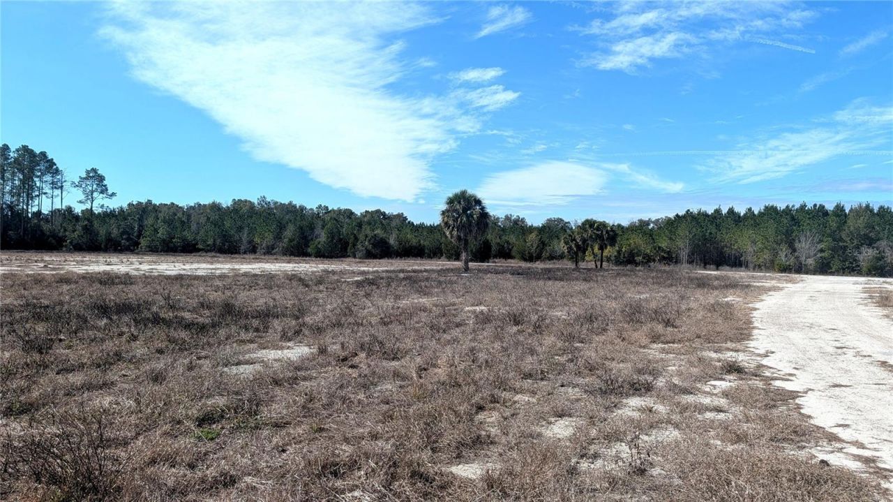 13550 NW Old Fannin Road, Chiefland, FL 32626 Photo
