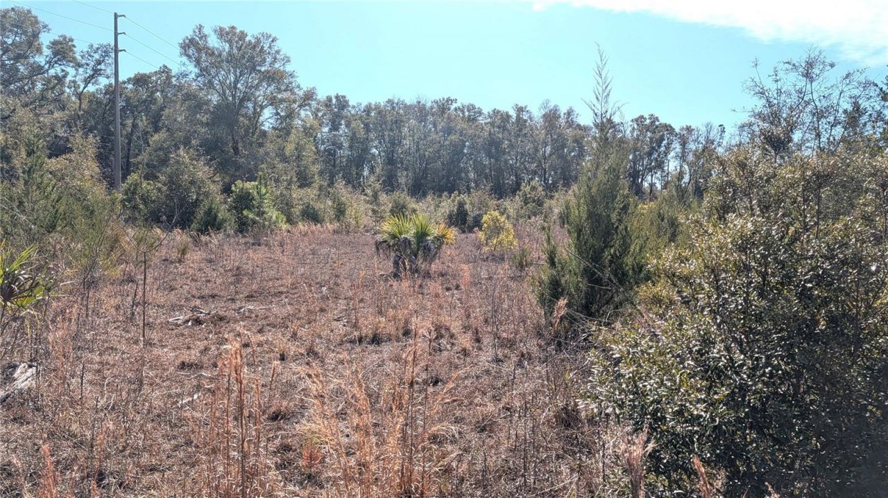 13550 NW Old Fannin Road, Chiefland, FL 32626 Photo