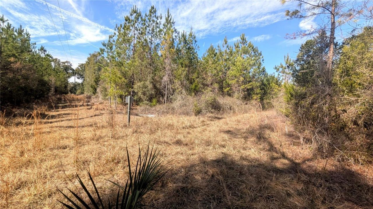 13550 NW Old Fannin Road, Chiefland, FL 32626 Photo