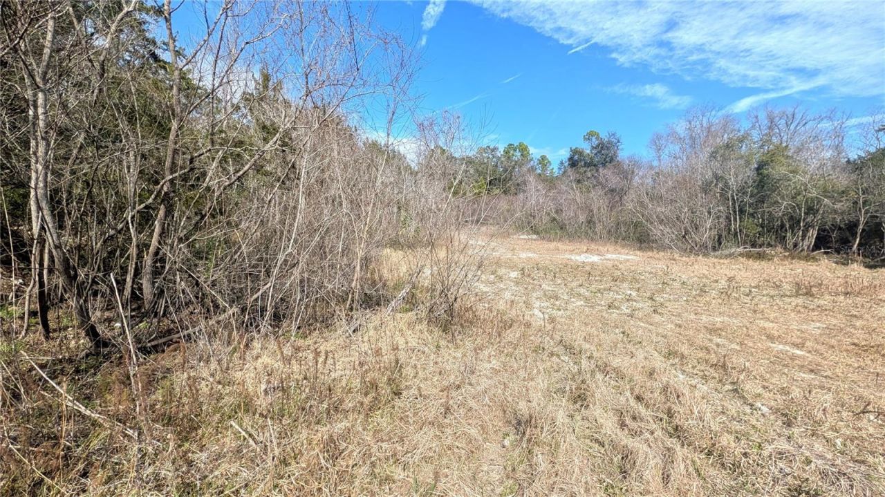 13550 NW Old Fannin Road, Chiefland, FL 32626 Photo