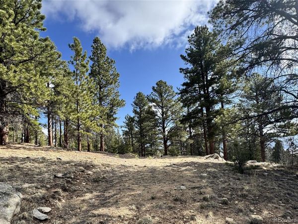 30317 Aspen Turn, Buena Vista, CO 81211