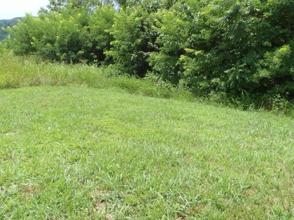 17 D Crappie Lane , Hilham, TN 38568