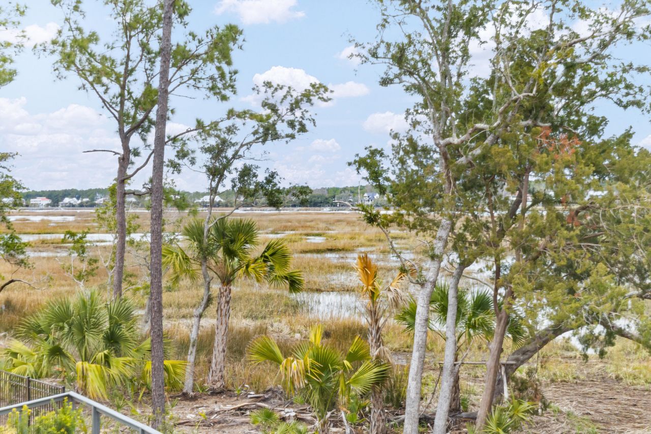 3574 Clambank Drive Photo 52