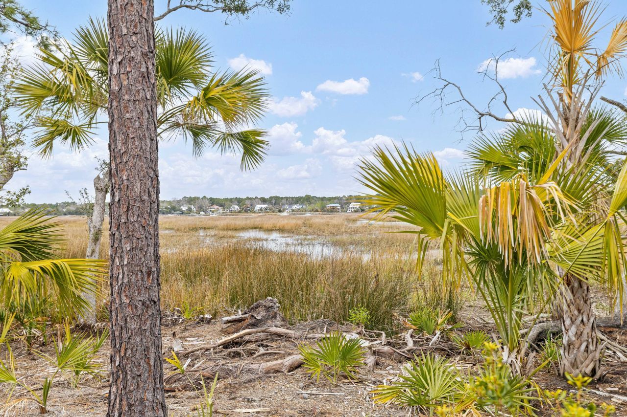 3574 Clambank Drive Photo 53