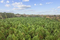 Lot 9 Creek Landing Rd photo 4