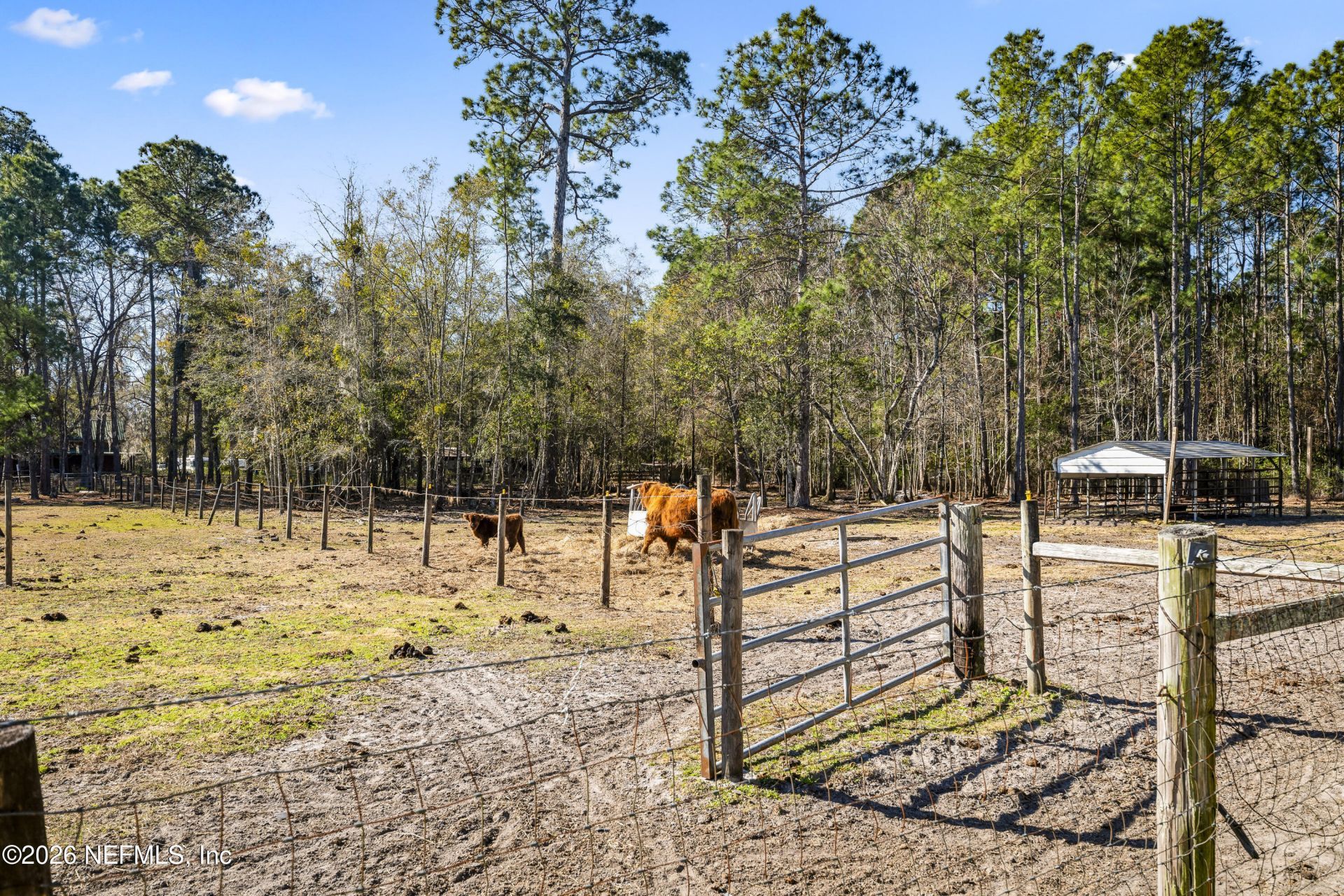 1725 Davidson Farm Road, Jacksonville, FL 32218 Photo