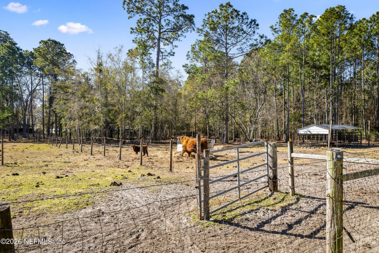 1725 Davidson Farm Road, Jacksonville, FL 32218 Photo