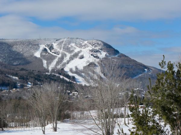 Lot 3 Ruth Court, Hunter, NY 12442