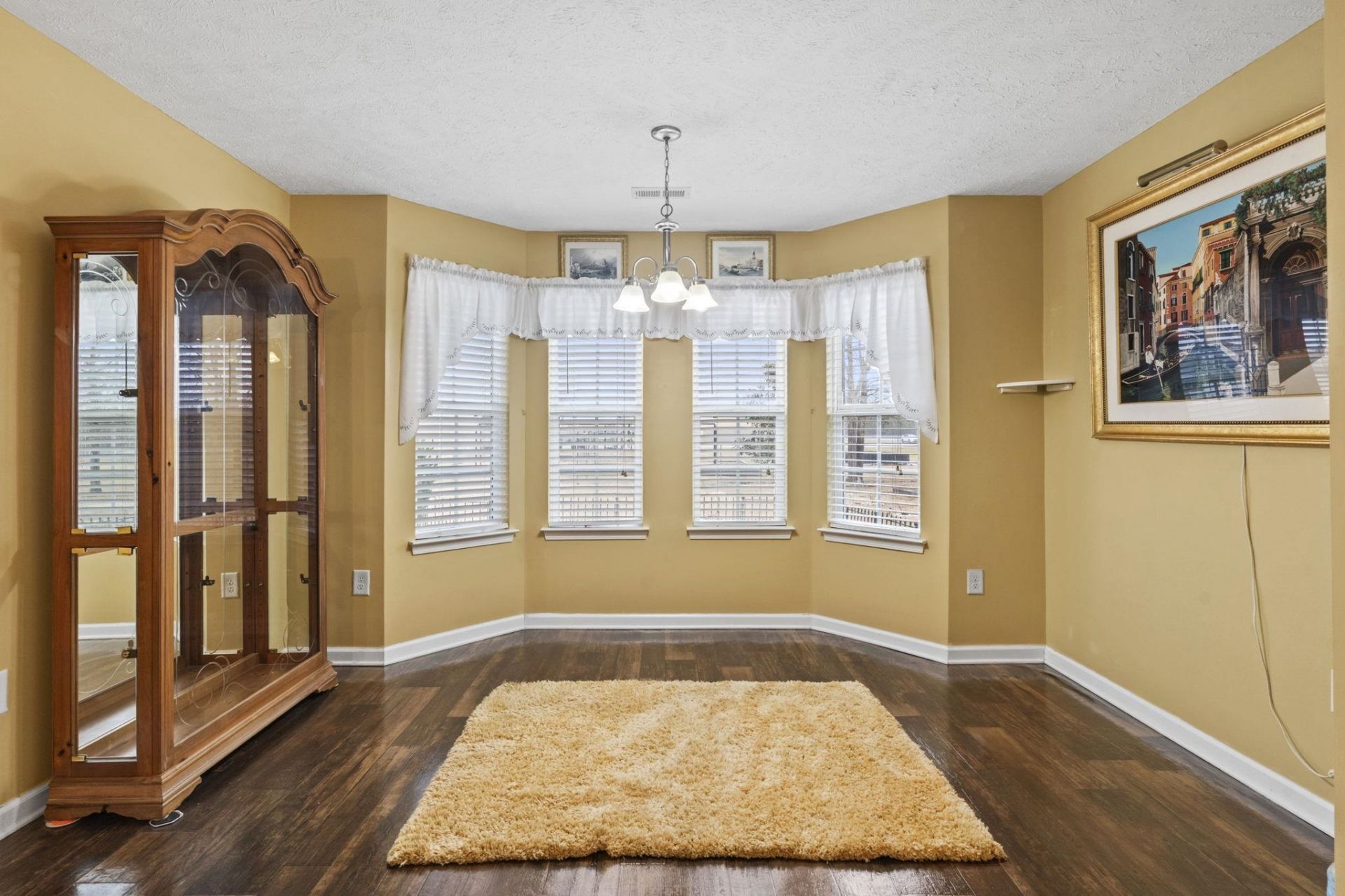 345 Carolina Springs Ct. Photo 17