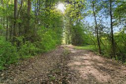 3534 Nichols Hwy. photo 4