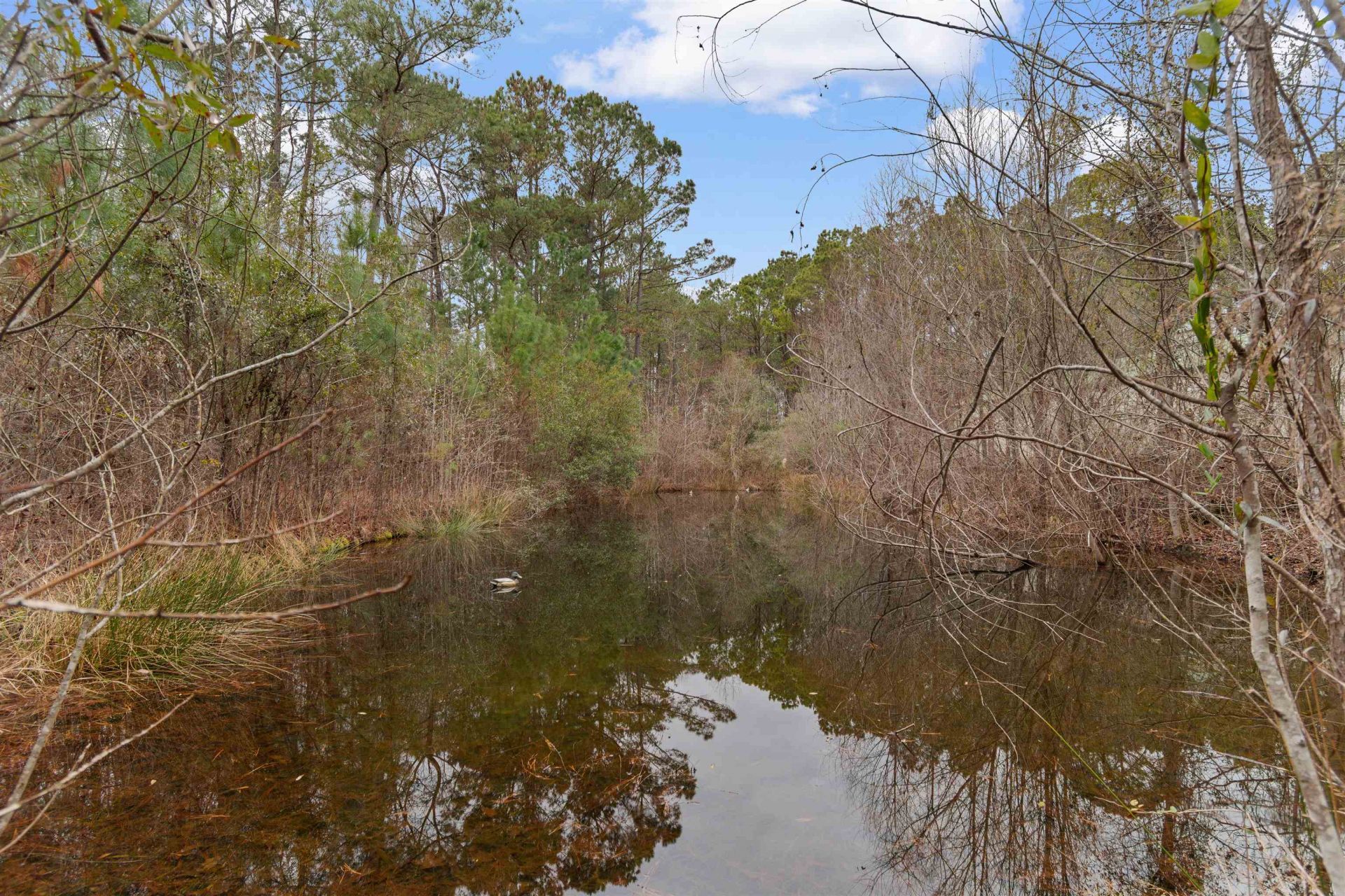 3534 Nichols Hwy. Photo 34