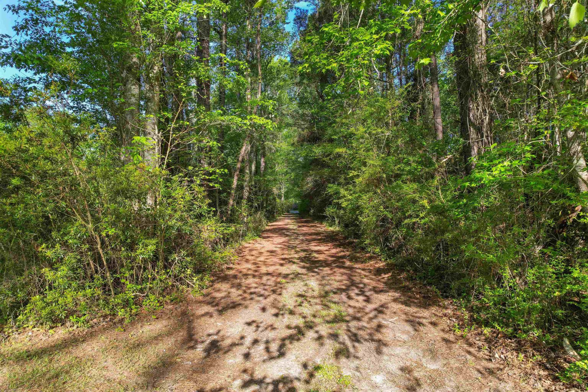 3534 Nichols Hwy. Photo 39