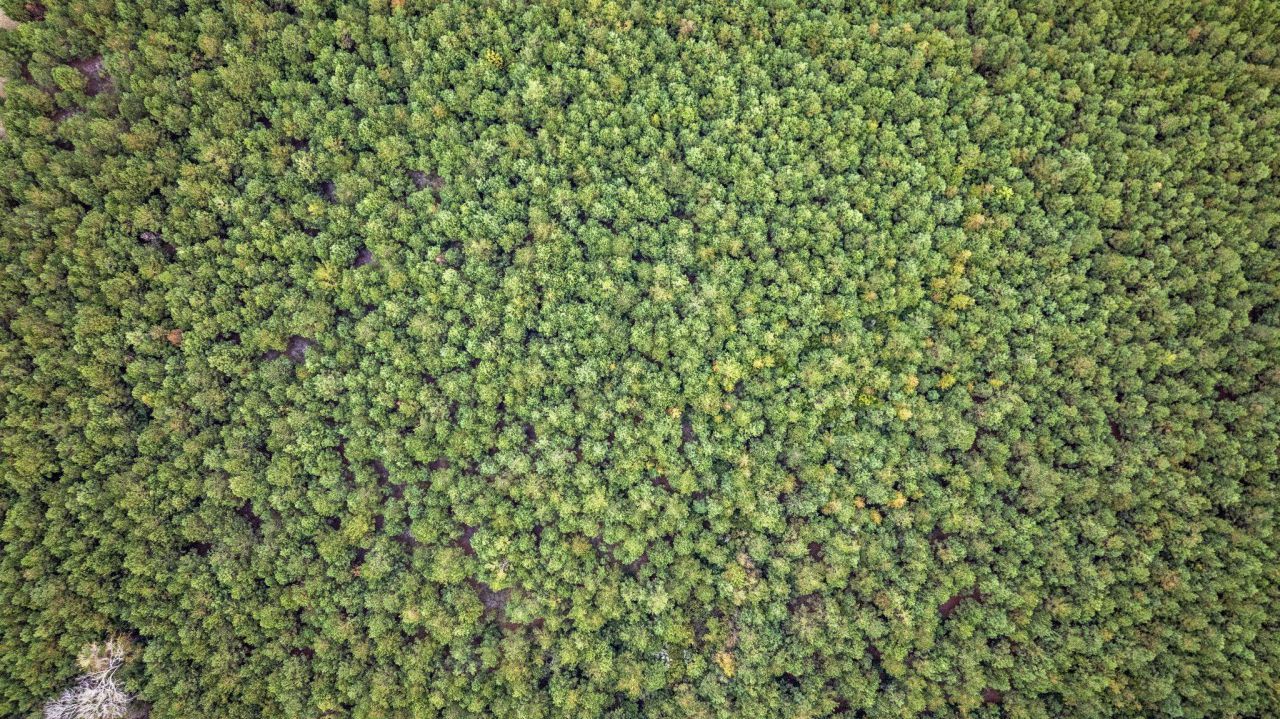 Lot 5 Creek Landing Rd Photo 2