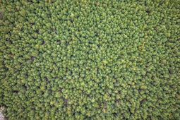 Lot 5 Creek Landing Rd photo 4