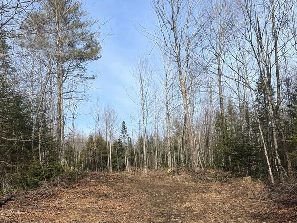 Lot 10 Albion Road , Freedom, ME 04941