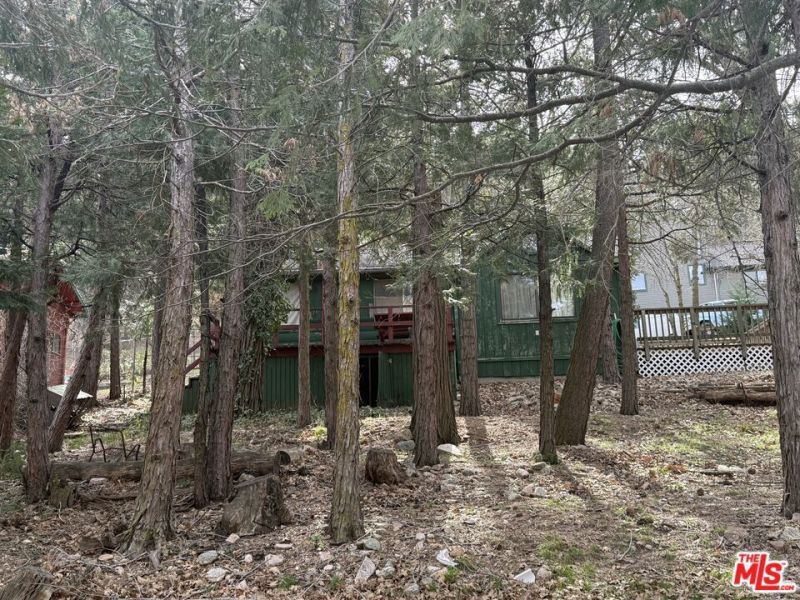 21801 Plunge Road, Cedarpines Park, CA 92322 Main Photo