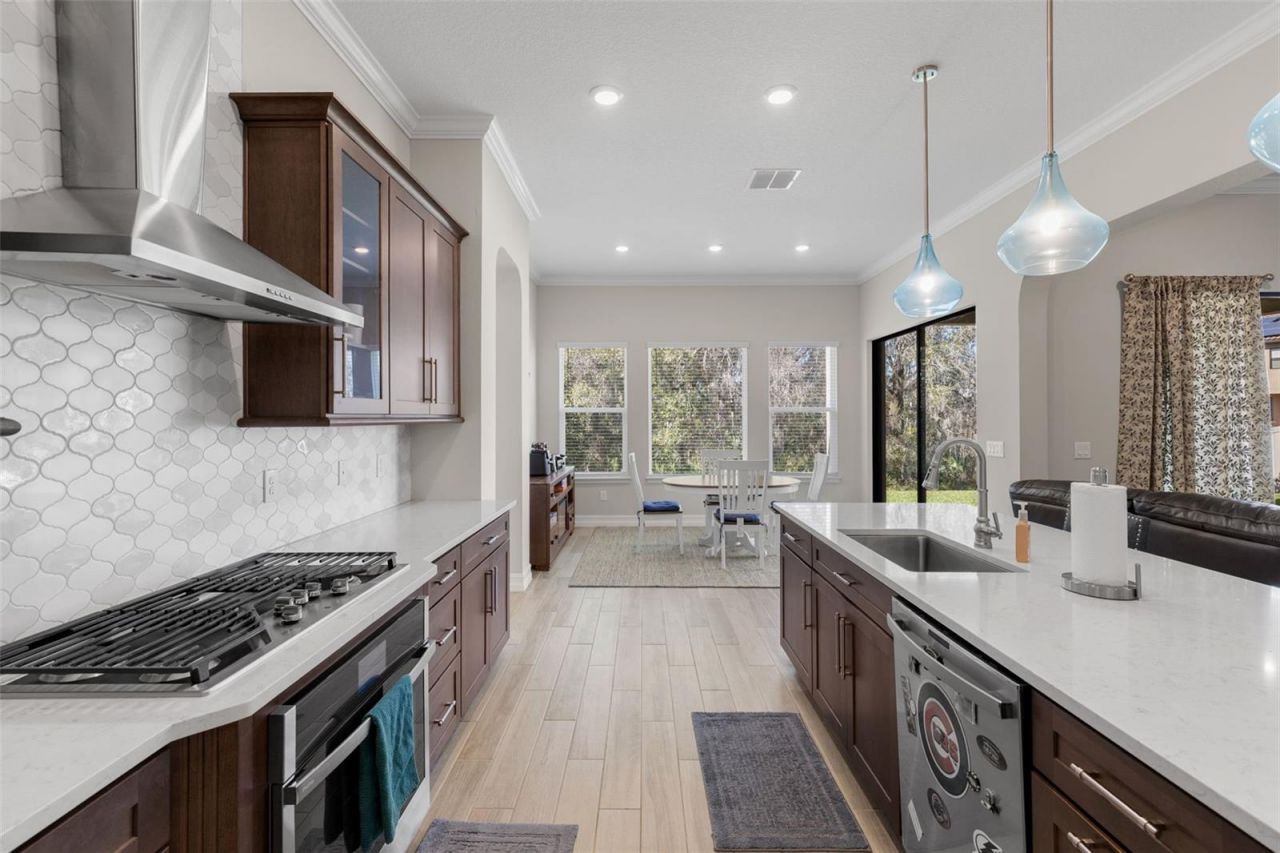 3839 San Vito Drive, Wesley Chapel, FL 33543 Photo