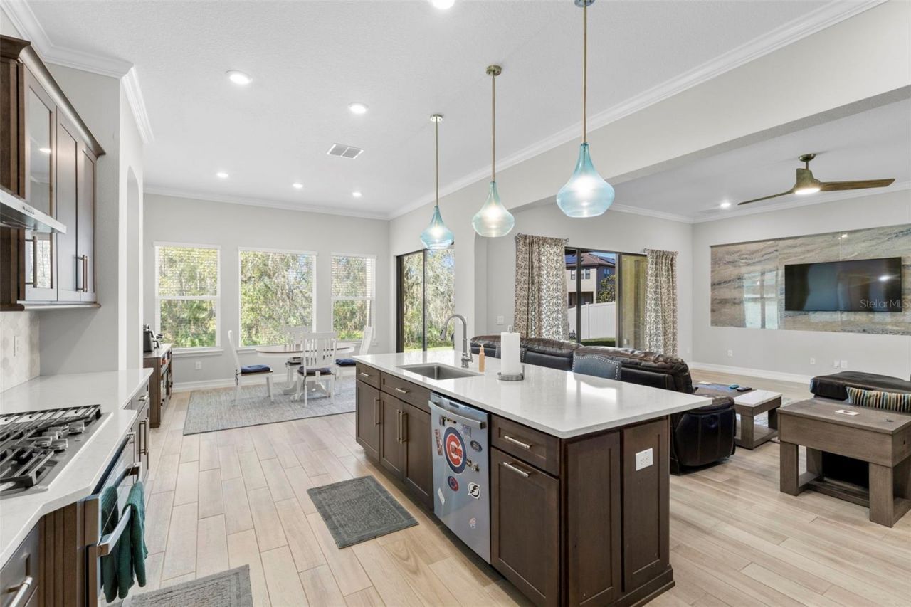 3839 San Vito Drive, Wesley Chapel, FL 33543 Photo