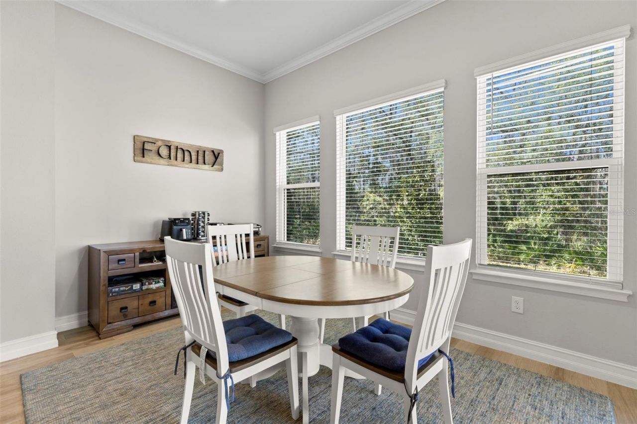 3839 San Vito Drive, Wesley Chapel, FL 33543 Photo